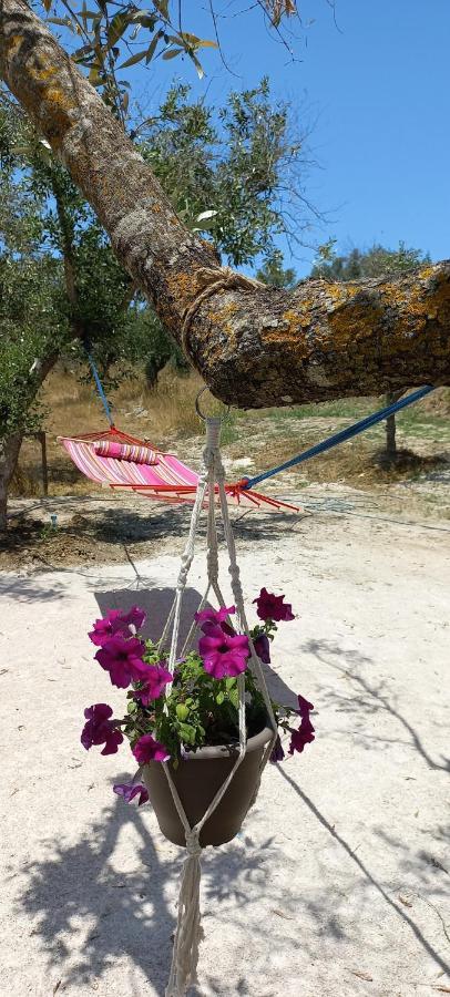 Lily Home_Lefkada ~ Private Country House Kondaraíni Extérieur photo