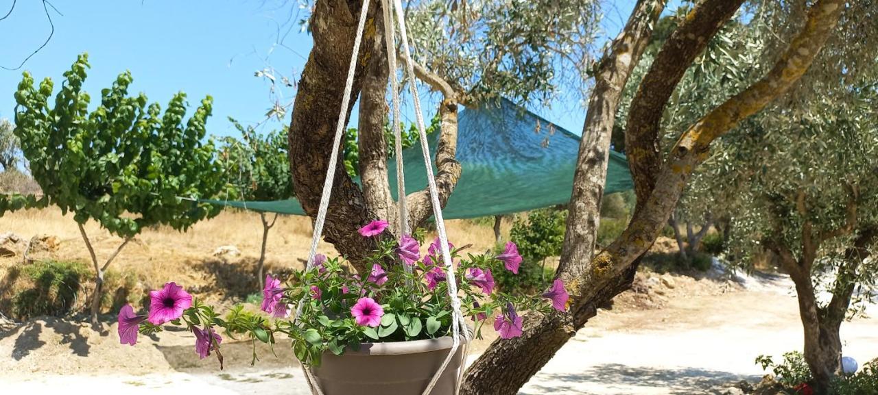 Lily Home_Lefkada ~ Private Country House Kondaraíni Extérieur photo